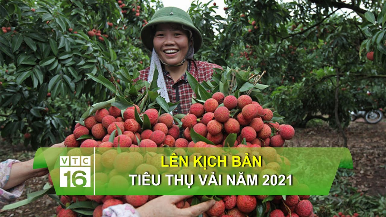 Biến động điểm chuẩn Đại học Y Hà Nội bốn năm gần nhất_Dịch vụ edit video
