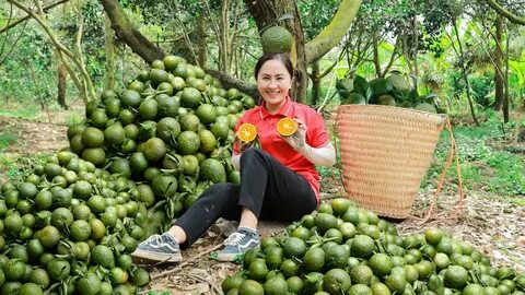 Làm Video Ngắn – Vừa Sáng Tạo, Vừa Kiếm Tiền Với Công Cụ Hữu Ích_Sự kiện Ma trận điểm nóng
